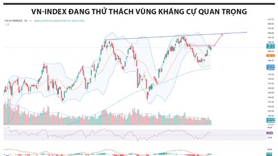 Thị trường đang ở trạng thái hồi phục từ đáy