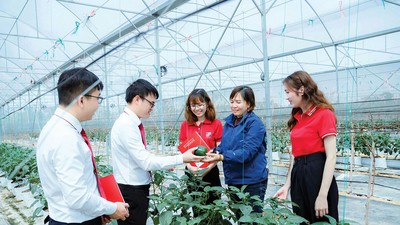 Sản xuất xanh đã trở thành con đường tất yếu của phát triển