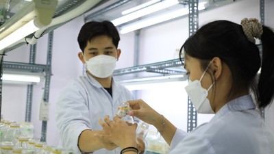Nuôi cấy mô tại phòng thí nghiệm 