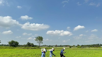 Cắm mốc giải phóng mặt bằng tuyến cao tốc TP.HCM - Mộc Bài. Ảnh: Lê Anh