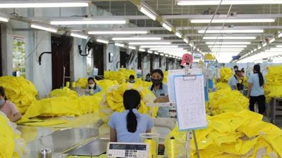 Nhà nhập khẩu Canada có nhu cầu tìm kiếm các nhà cung ứng thực phẩm, dệt may, giày dép và vật liệu tại Việt Nam. 