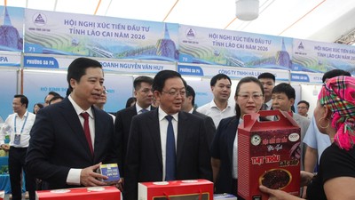 Lào Cai thu hút hơn 24.160 tỷ đồng qua 24 dự án đầu tư 