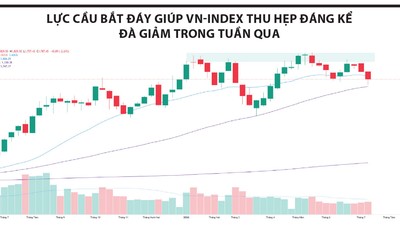 Lực cầu bắt đáy xuất hiện nhưng chưa lan tỏa
