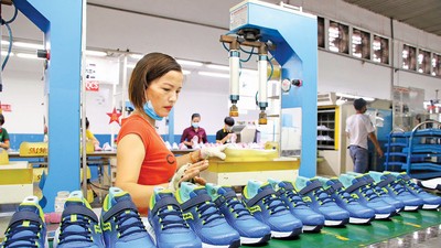 Thuế quan và các tiêu chuẩn mới từ thị trường xuất khẩu đang buộc doanh nghiệp Việt tăng tốc nâng cấp năng lực cạnh tranh