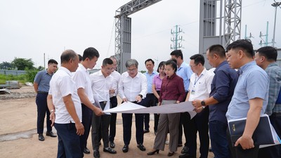 Phó Chủ tịch UBND TP. Hà Nội Trương Việt Dũng kiểm tra thực địa tại Dự án Khu công nghệ cao Sinh học Hà Nội.
