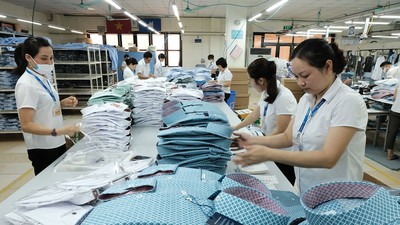 Đơn hàng xuất khẩu cải thiện đang thúc đẩy nhiều doanh nghiệp mở rộng sản xuất và tuyển dụng lao động
