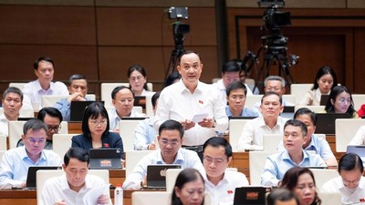 Đại biểu Nguyễn Ngọc Sơn (Hải Phòng) tham gia thảo luận - Ảnh: QH.