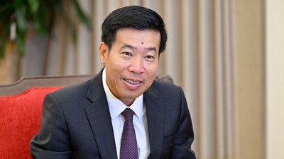 Thứ trưởng Bộ Ngoại giao Nguyễn Mạnh Cường.
