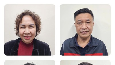 Bị can Chu Thị Thành, Chủ tịch Tập đoàn Thiên Minh Đức (trên cùng bên trái) và một số đối tượng trong vụ án. Ảnh: BCA