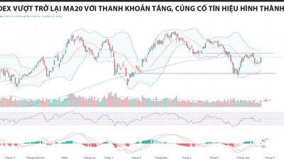 Đáy 2 được xác nhận