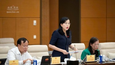  Chủ nhiệm Ủy ban Khoa học, công nghệ và môi trường Nguyễn Thanh Hải phát biểu - Ảnh: QH. 