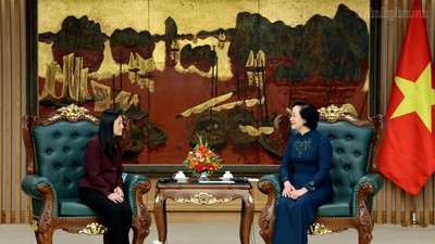 Phó Thủ tướng Phạm Thị Thanh Trà tiếp Đại sứ Hoa Kỳ tại Việt Nam Jennifer Wicks. Ảnh: Chinhphu.vn/Thu Giang