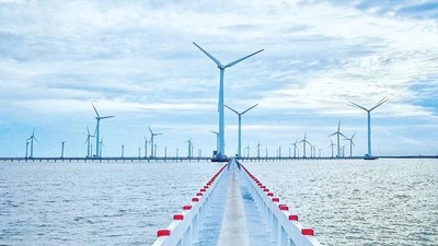 Cà Mau chấp thuận nhà đầu tư dự án điện gió vốn hơn 1.222 tỷ đồng 