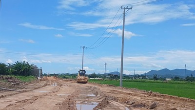 Thành phố Đà Nẵng đã điều chuyển về cho các xã, phường quản lý, thực hiện là 3.317 dự án.