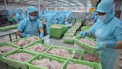 Doanh nghiệp xuất khẩu hưởng lợi từ USD tăng ở mức độ khác nhau, tùy thuộc cơ cấu doanh thu, chi phí và dòng tiền ngoại tệ
