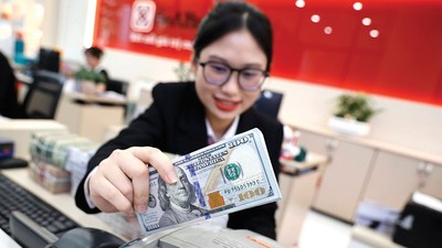 Áp lực từ USD chưa đồng nghĩa tỷ giá trong nước sẽ biến động mạnh