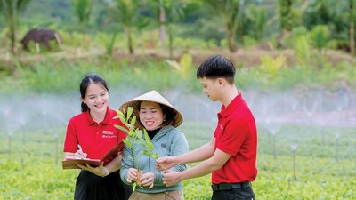 Nhu cầu bảo vệ đối với lĩnh vực nông nghiệp là rất lớn