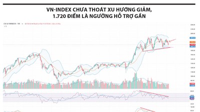 Nhịp hồi chưa đủ sức đổi chiều