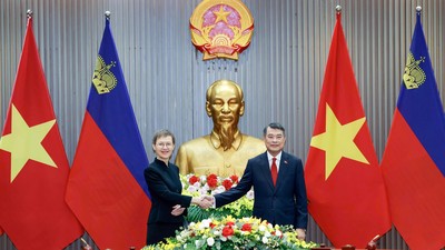 Thủ tướng Chính phủ Lê Minh Hưng hội đàm với Thủ tướng Liechtenstein.