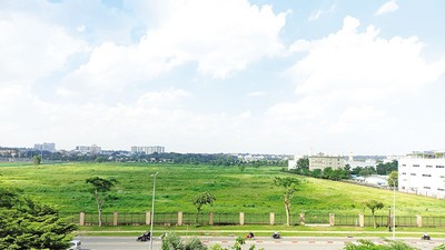 Một khu đất lớn tại Khu Công nghệ cao TP.HCM chưa đưa vào khai thác - Ảnh: Lê Quân