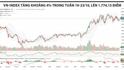 Nhịp hồi khởi sắc, chờ sức bật mới
