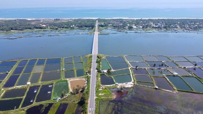 Dự án Tổ hợp điện gió gần bờ kết hợp sản xuất Hydro xanh và Amoniac sẽ được triển khai tại vùng biển xã Thăng Trường.
