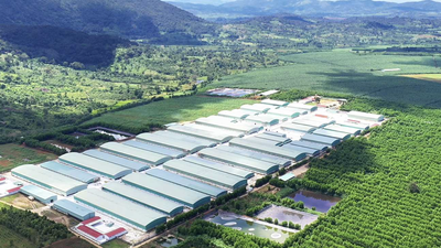 Hoàng Anh Gia Lai (HAG) đã tất toán toàn bộ khoản nợ trái phiếu