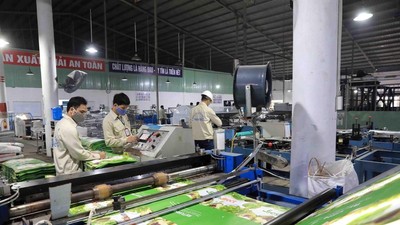 Thuận Đức (TDP) tính chi 56 tỷ đồng mua cổ phần Thuận Đức Bỉm Sơn từ Chủ tịch HĐQT, nâng sở hữu lên 43%