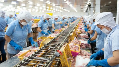 Cổ phiếu cần quan tâm ngày 16/1