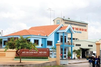 Afiex (AFX) được chấp thuận niêm yết 35 triệu cổ phiếu trên HOSE