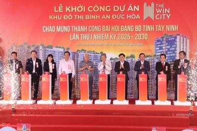 Gỗ An Cường (ACG) muốn cùng đối tác triển khai dự án khu đô thị Bình An Đức Hoà với quy mô 13,1 ha