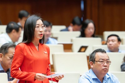 Đại biểu Hoàng Thị Thanh Thúy (Tây Ninh).