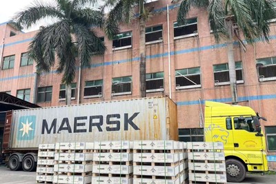 Việt Nam tăng tốc “cuộc đua” lưu trữ năng lượng 