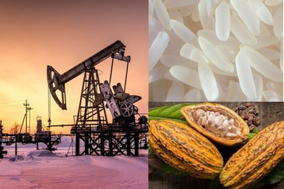 Thị trường hàng hóa thế giới tuần từ 8-15/11: Dầu thô phục hồi, ca cao và cà phê giảm mạnh