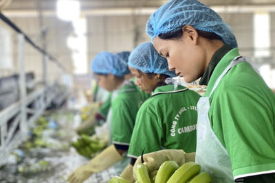 Hoàng Anh Gia Lai (HAGL) đặt mục tiêu lãi sau thuế 4.200 tỷ đồng và trả cổ tức tiền mặt 5%