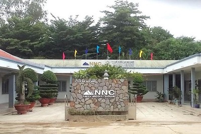 Đá Núi Nhỏ (NNC) đặt mục tiêu lợi nhuận trước thuế 120 tỷ đồng và chiến lược tìm kiếm mỏ mới trong 2026