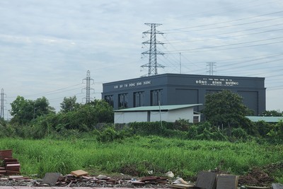 Tại Khu đô thị Đông Bình Dương, nhiều nơi cỏ mọc um tùm. Ảnh: Việt Dũng.
