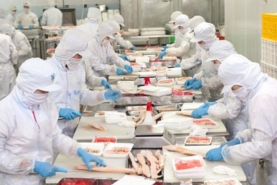 Nam Việt (NAV) chi tạm ứng cổ tức đợt 1 năm 2026 tỷ lệ 8% bằng tiền