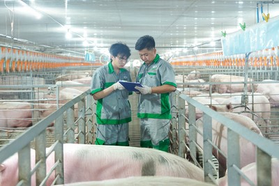 BAF Việt Nam (BAF) thực hiện chia cổ tức 10% và phát hành cổ phiếu thưởng, tỷ lệ 10%
