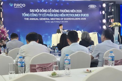 ĐHCĐ PJICO (PGI): Mục tiêu lợi nhuận 324,5 tỷ đồng, tỷ lệ chia cổ tức dự kiến 12%