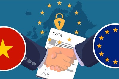 EVFTA bước sang năm thứ 7: EU mở cửa 99% hàng hóa Việt Nam