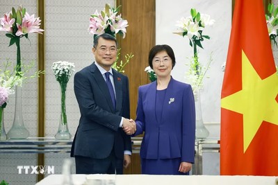 Thủ tướng Lê Minh Hưng tiếp bà Trâu Gia Di, Chủ tịch Ngân hàng Đầu tư Cơ sở hạ tầng Châu Á (AIIB). (Ảnh: Dương Giang/TTXVN)