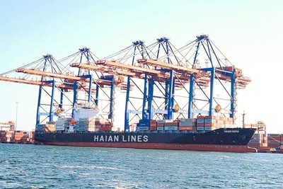 Hải An (HAH) sắp phát hành 3,5 triệu cổ phiếu ESOP