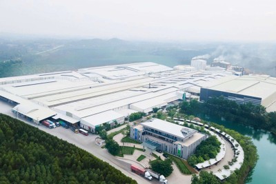 Amy Grupo: Câu chuyện IPO giữa áp lực tài chính và cuộc đua công suất