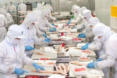 Lãnh đạo Nam Việt (ANV) đã mua vào 1 triệu cổ phiếu 
