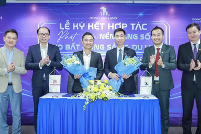 Cổ phiếu Đông tây Land (DTR) giao dịch trên UPCoM từ ngày 25/9 với giá tham chiếu 10.500 đồng/cổ phiếu