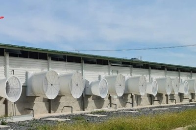 Siba Group (SBG) muốn phát hành riêng lẻ 20 triệu cổ phiếu với giá chiết khấu 30,1% thị trường