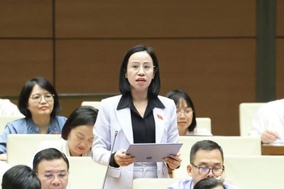 Đại biểu Võ Ngọc Thanh Trúc (đoàn TPHCM) thảo luận về dự án Luật Nhà ở (sửa đổi) chiều 28/10.