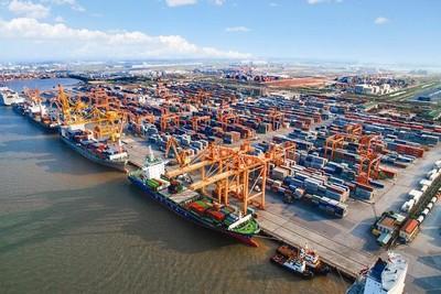 Thủ tục nhập khẩu vào EU sẽ ngày càng dựa trên dữ liệu, tính nhất quán của hồ sơ và khả năng truy xuất chuỗi cung ứng. Ảnh: Lê Toàn
