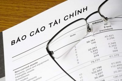 Thêm hai công ty bị xử phạt vì vi phạm nghĩa vụ công bố thông tin
